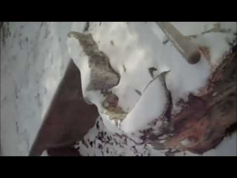 frozen water balloon