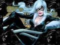 Black Cat Tribute 