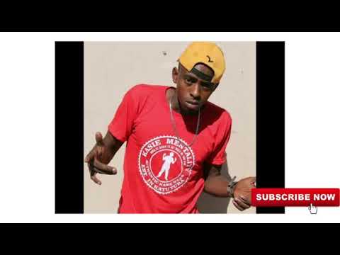 Longizo X Various artists -Rating Top dogs with Zeros