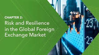 Risk and Resilience in the Global Foreign Exchange Market