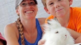 Does a pet get CUTER than this? Introducing our Lionhead Rabbits