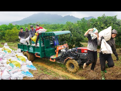 Buy Orange Grove From Farmer - Use Truck To Transport Fertilizer To Take Care of Orange Garden