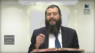 הדף היומי מסכת סוכה דף כג