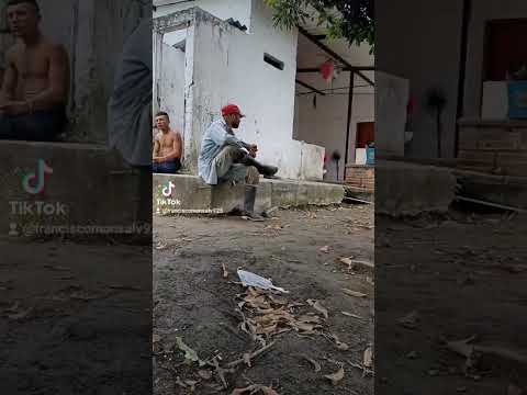 está es la finca valdepeñas en chinchina caldas