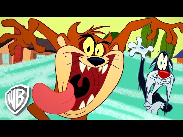 Vídeo relacionado con Looney Tunes Vintage Tasmanian Devil Sudadera con Capucha
