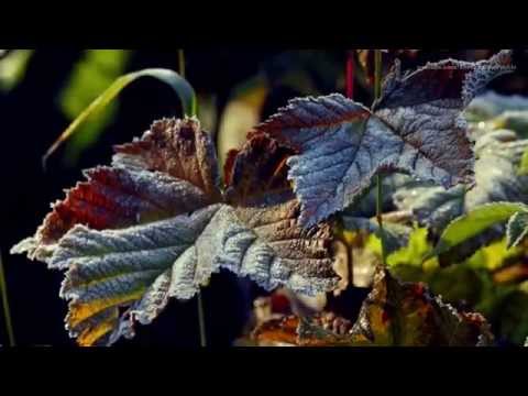 Vibrasphere - Erosion (Unofficial HD Music Video)