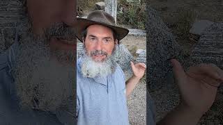 מטמון של 2000 מטבעות נמצא בבית כנסת עתיק ליד נחל שופע מים בגליל העליון בכפר גוש חלב  #טיול #ישראל