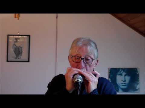 Unchaine Melody ! Elvis Presley ! A L'harmonica chromatique