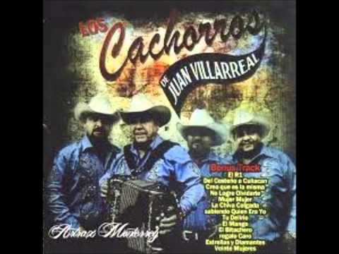 EL R1 - LOS CACHORROS DE JUAN VILLARREAL ALBUM 2013