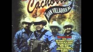 EL R1 - LOS CACHORROS DE JUAN VILLARREAL ALBUM 2013