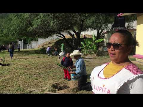 Support Young Environmental Leaders in Mexico