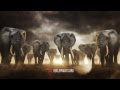 96 Elephants: Take A Stand PSA featuring Billy Joel ...
