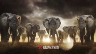 96 Elephants: Take A Stand PSA Featuring Billy Joel Video