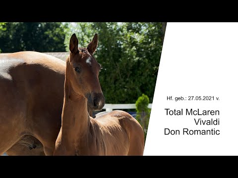 Hf v Total McLaren x Vivaldi x Don Romantic 2021