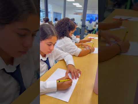 MYP 1 Artists Exploring Perspective in the Real World