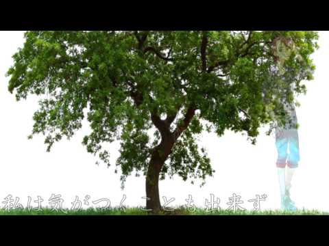 【NCCB-R1】Perfect Day【GALA★Y 】