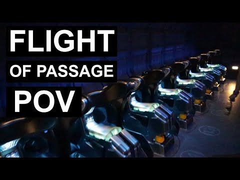 Flight of Passage POV Full Ride and Entrance Queue - Disney World