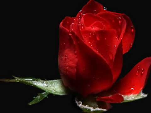 Story Of My Life - Frankie J  (Tradução)