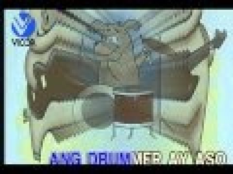 Hayop Na Combo - Yoyoy Villame [Karaoke Version]