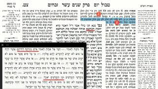 דף יומי מסכת זבחים דף צט Daf yomi Masechet Zevachim page 99  ע"י יוני גוטמן (שיעורי הדף היומי ב-20 דקות - מועבר ע"י ר' יוני גוטמן - לעילוי נשמת אביו ר' אלימלך צבי (צביקה) גוטמן ז"ל) - התמונה מוצגת ישירות מתוך אתר האינטרנט יוטיוב. זכויות היוצרים בתמונה שייכות ליוצרה. קישור קרדיט למקור התוכן נמצא בתוך דף הסרטון