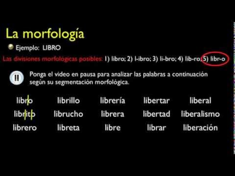 3319 Cap  5 Módulo 1 final