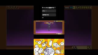 にゃんこ11連開封#パチプッチ#毎日10本投稿#にゃんこ#にゃんこ大戦争#にゃんこ大戦争ガチャ#にゃんこ大戦争最強キャラクター#にゃんこ大戦争10周年#にゃんこ大戦争最強キャラクター#shorts