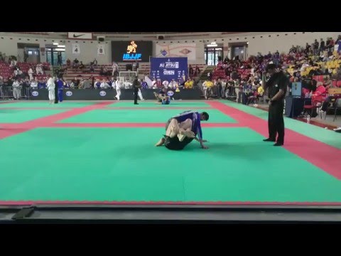 Ivo Dimitrov Monster Absolute division