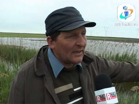 TV IALOMITA - "Le-au distrus culturile cu avionul"