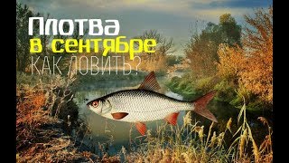 Ссылка