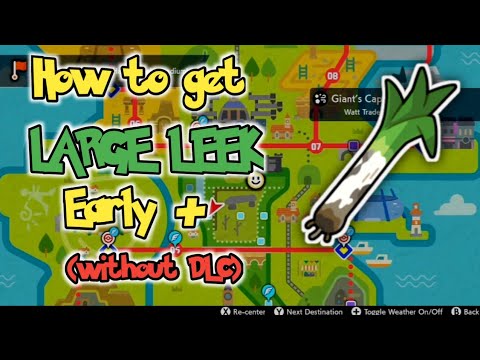Large Leek location (no DLC required) | Pokemon Sword and Shield