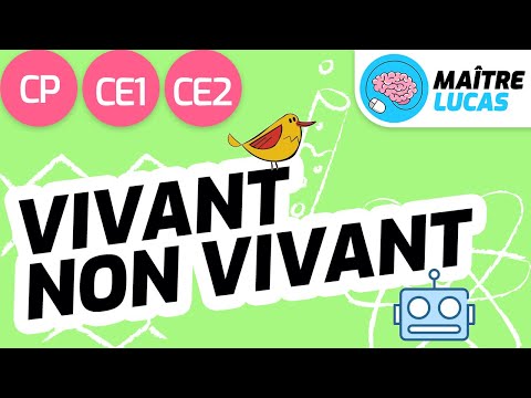 Vivant et non vivant CP - CE1 - CE2 - Cycle 2 - Questionner le monde - Le monde du vivant