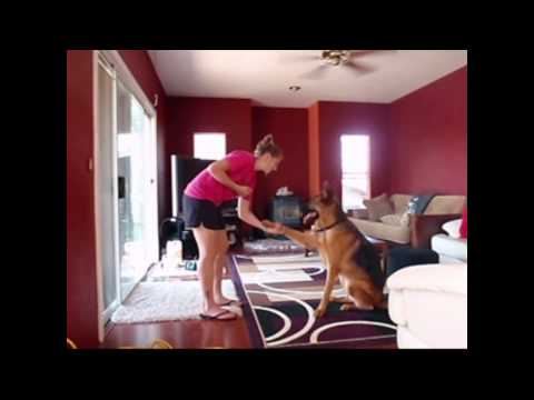 Happy Birthday Wilber!