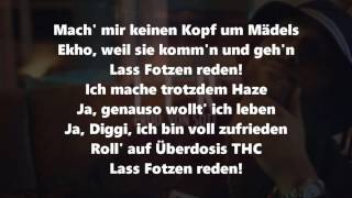 Nimo - LFR   Lyrics/Songtext