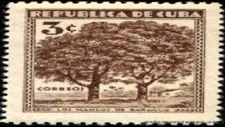 Say Yes Dog - Around My Neck