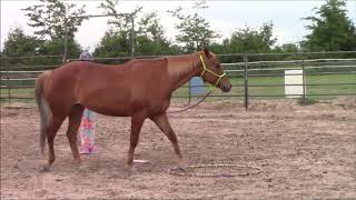 Download lagu Morgan and Foxy Adv 2 star June 2019 923 mp3