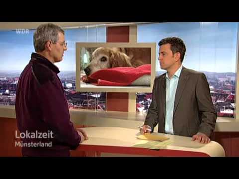Diprospan in gemeinsamen Bewertungen Zubereitungen mit einem Knirschen in den Gelenken