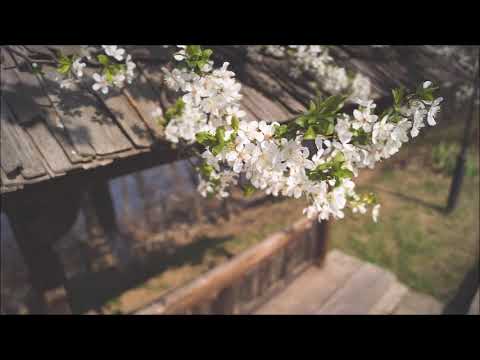 George Stephănescu (1843-1925): Hora "Primăvara (Spring)"