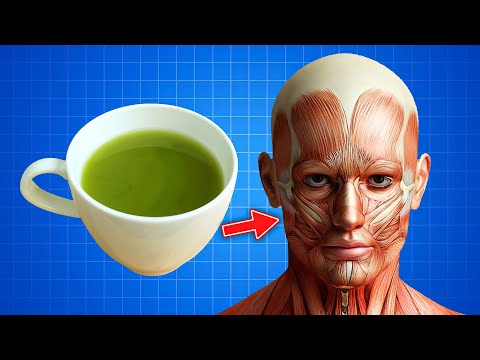 What Happens To Your Body When You Drink Green Tea Every Day | Green Tea Benefits