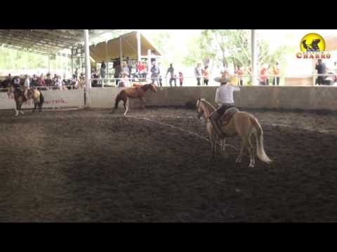 3 de 3 Manganas a Caballo de Orlando Antuñano, en la 1ra Fase de la Copa  "Berries Paradise"