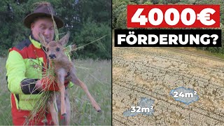 4000€ für JAGDGENOSSENSCHAFTEN? - Drohnenförderung 2026
