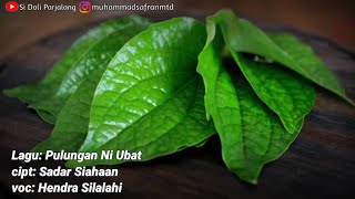 Download lagu Pulungan ni ubat |Lagu batak paling sedihh cover Hendra Silalahi mp3