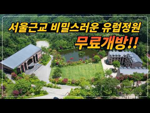 백록과 함께하는 청리움의 신비로운 경험