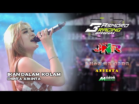 IKAN DALAM KOLAM ~ SHINTA ARSINTA ~ NEW JNR LIVE COVER ASMORO RACING