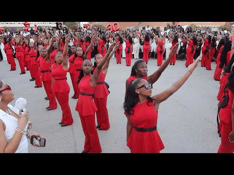 Delta Sigma Theta
