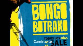 Caminante - Bongo Botrako