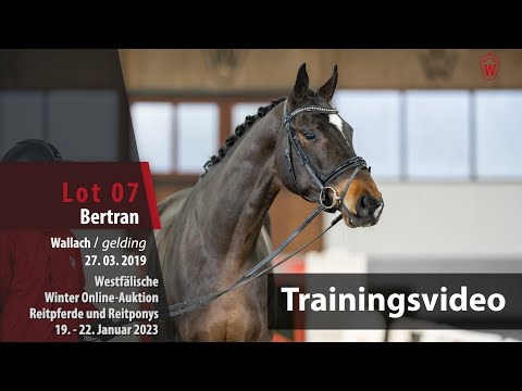 Winter Online-Auktion Training Lot 7 Bertran Wallach v. Benicio - Sarkozy