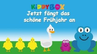 Jetzt fängt das schöne Frühjahr an - Kinderlieder zum Mitsingen - (KIDDYBOX.TV) Karaoke Lyric
