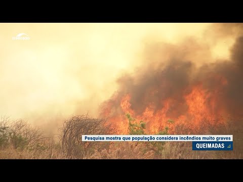 DataSenado: maioria considera incêndios fruto de ação criminosa