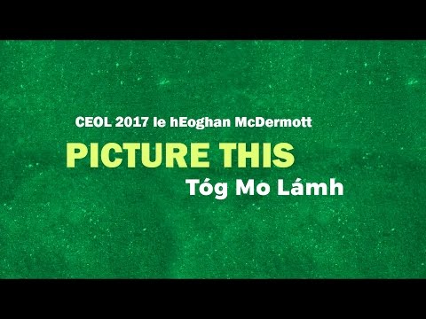 Picture This - Take My Hand (As Gaeilge)