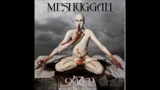 Meshuggah- This Spiteful Snake 13% SLOWER [1080p]